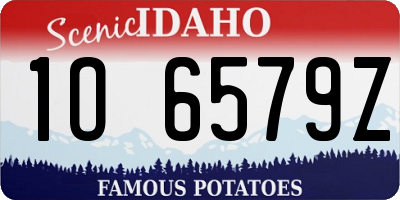 ID license plate 1O6579Z