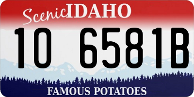 ID license plate 1O6581B