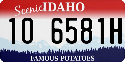 ID license plate 1O6581H