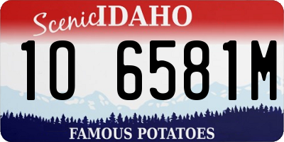 ID license plate 1O6581M