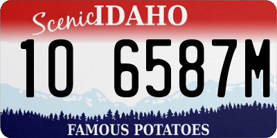 ID license plate 1O6587M
