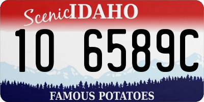 ID license plate 1O6589C