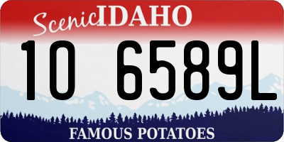 ID license plate 1O6589L
