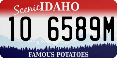 ID license plate 1O6589M