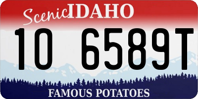 ID license plate 1O6589T