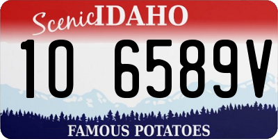 ID license plate 1O6589V