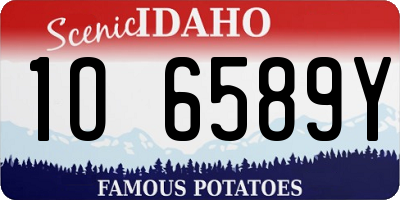 ID license plate 1O6589Y