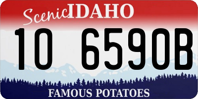ID license plate 1O6590B