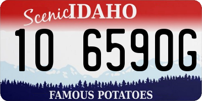 ID license plate 1O6590G