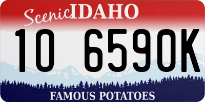 ID license plate 1O6590K