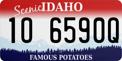 ID license plate 1O6590Q