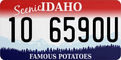 ID license plate 1O6590U