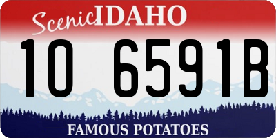 ID license plate 1O6591B