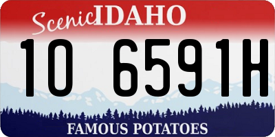 ID license plate 1O6591H