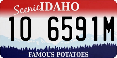 ID license plate 1O6591M