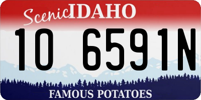 ID license plate 1O6591N