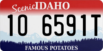 ID license plate 1O6591T