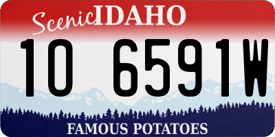 ID license plate 1O6591W