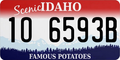 ID license plate 1O6593B
