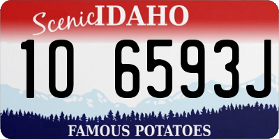 ID license plate 1O6593J