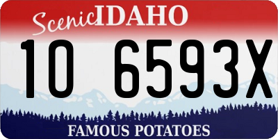 ID license plate 1O6593X