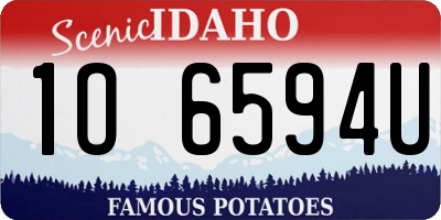 ID license plate 1O6594U
