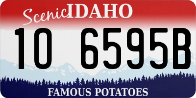 ID license plate 1O6595B