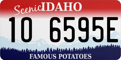 ID license plate 1O6595E