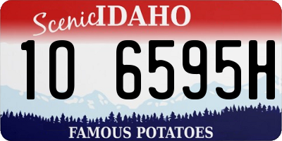ID license plate 1O6595H