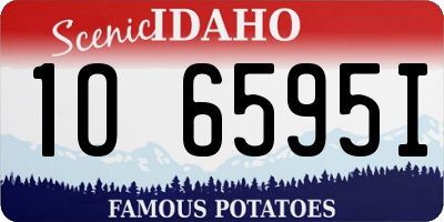 ID license plate 1O6595I