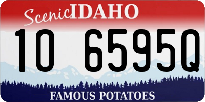 ID license plate 1O6595Q