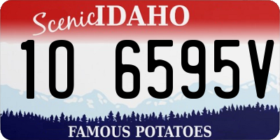 ID license plate 1O6595V