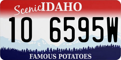 ID license plate 1O6595W