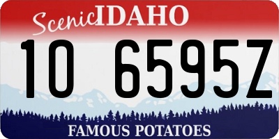 ID license plate 1O6595Z