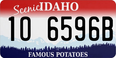 ID license plate 1O6596B