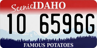 ID license plate 1O6596G
