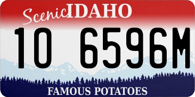 ID license plate 1O6596M