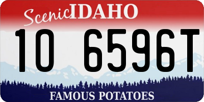 ID license plate 1O6596T