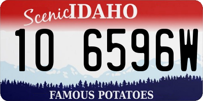 ID license plate 1O6596W
