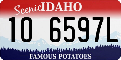 ID license plate 1O6597L
