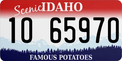 ID license plate 1O6597O