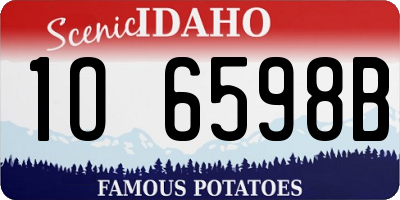 ID license plate 1O6598B