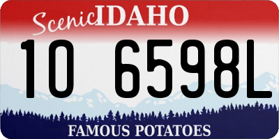ID license plate 1O6598L