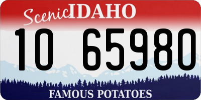 ID license plate 1O6598O