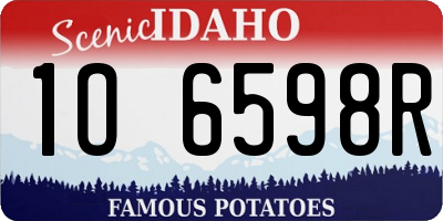 ID license plate 1O6598R