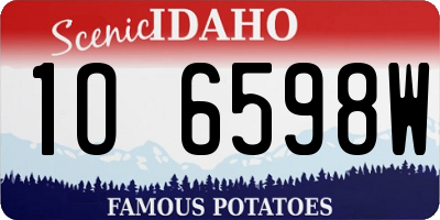 ID license plate 1O6598W