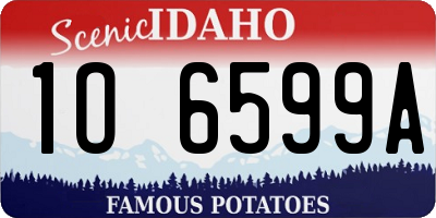 ID license plate 1O6599A