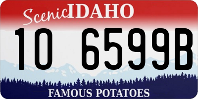 ID license plate 1O6599B