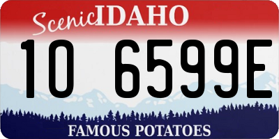 ID license plate 1O6599E
