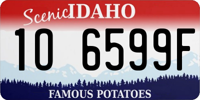 ID license plate 1O6599F
